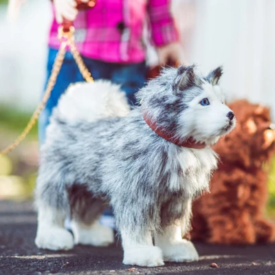 The Queen's Treasures 18 In Doll Husky Puppy Dog With Leash And Collar 4 The Queen's Treasures 18 In Doll Husky Puppy Dog With Leash And Collar - Image 2