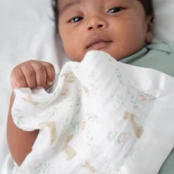 Aden + Anais Essentials Security Baby Blankets - 2pk -Barbie Store GUEST bf49c603 88af 4601 8ea4 0a8ae99385fe