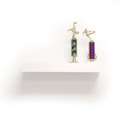 24" Floating Shelf With Lip For Kids' Room White - InPlace -Barbie Store GUEST bf63d7c6 def8 4c76 b80f dbc202516bf4